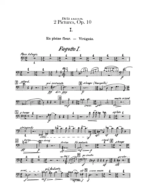 Bassoon 1, 2, 3 (3rd also Contrabassoon)
