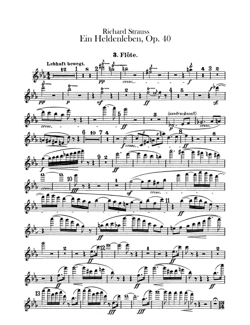 Flute 3