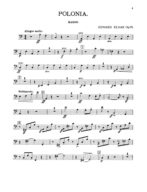 Basses