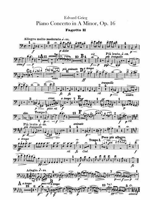 Bassoon 2