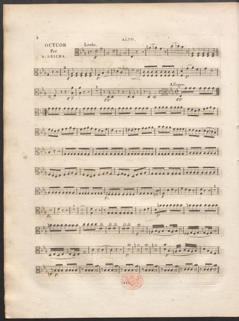 Viola