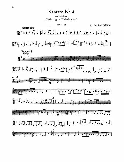 Violas II