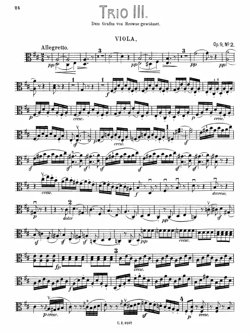 Viola