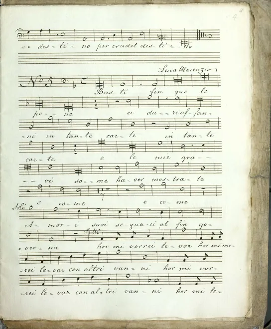 Basso 2