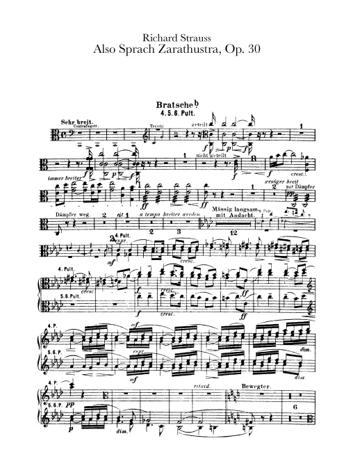 Violas b