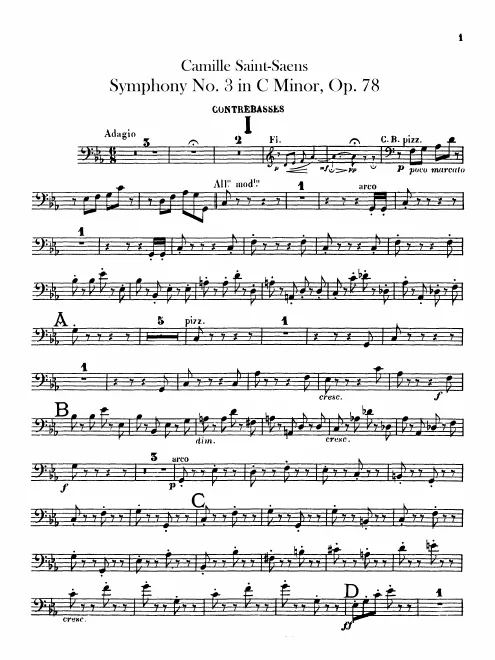Basses