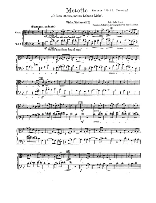 Violas/Cellos I