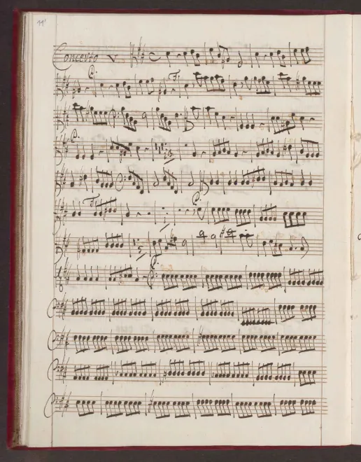 Violas