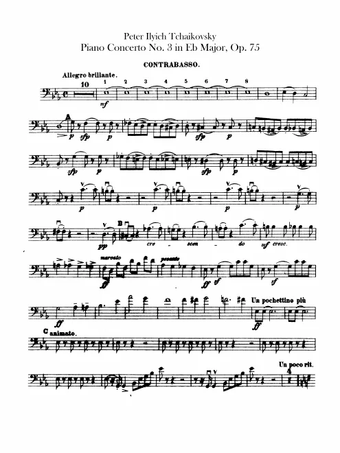 Basses