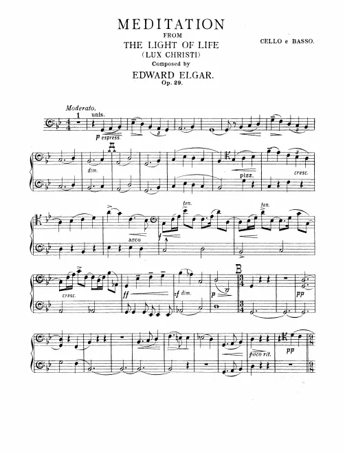 Cellos/Basses