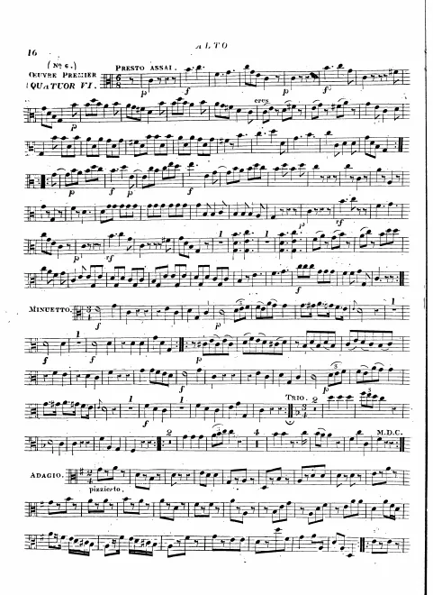 Viola