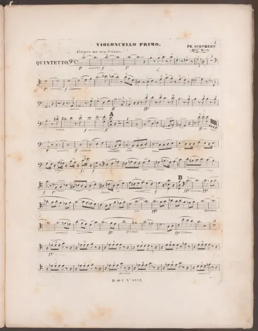 Cello 1