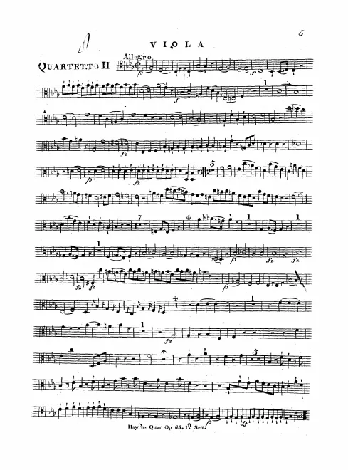 Viola