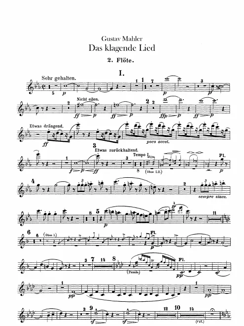 Flute 2