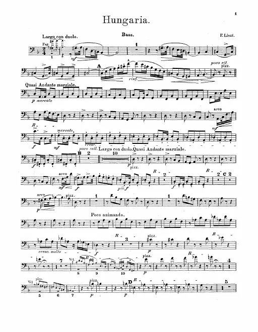 Basses