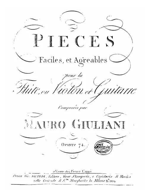 Guitar