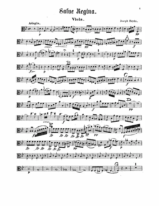 Violas