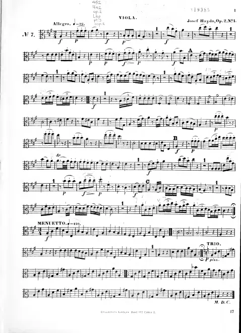 Viola