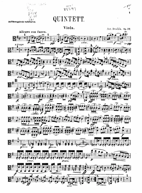 Viola