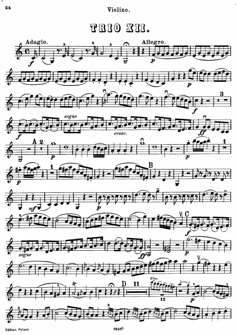 Violin