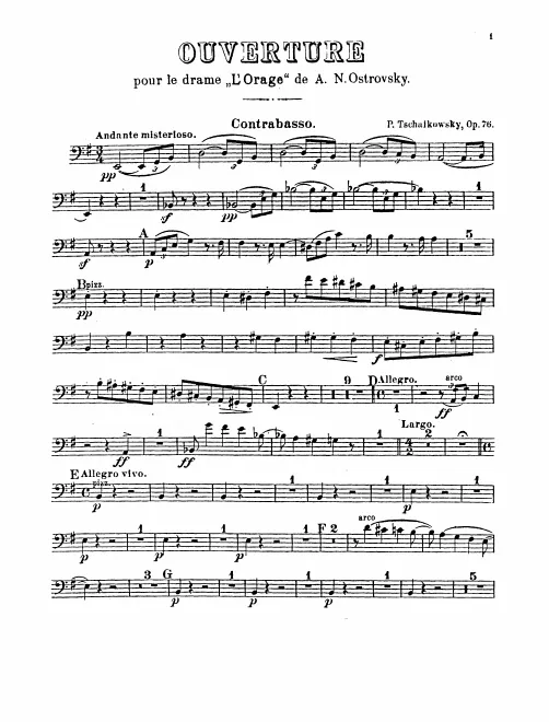 Basses