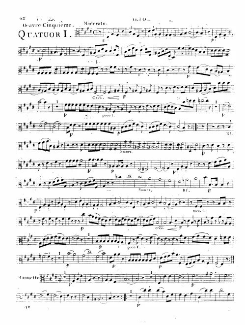 Viola