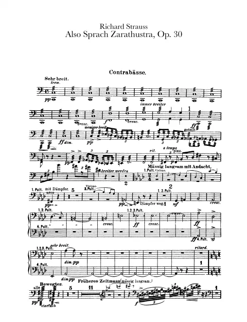 Basses
