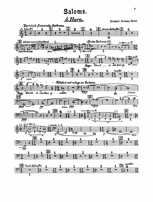 Horn 5