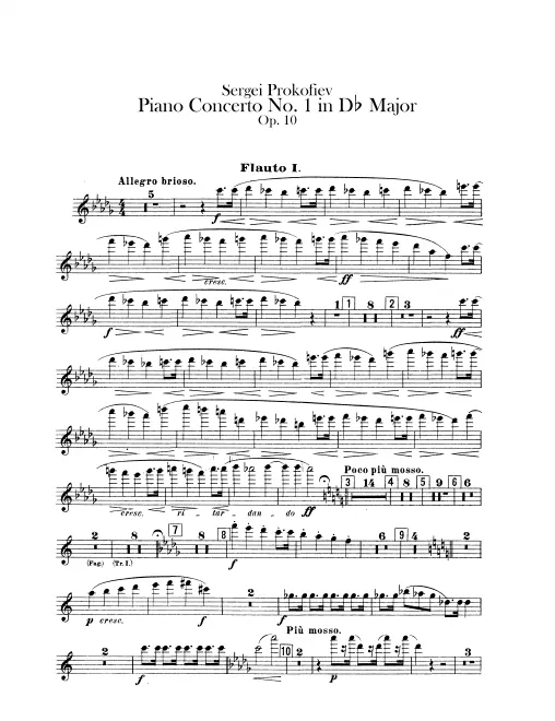 Flute 1