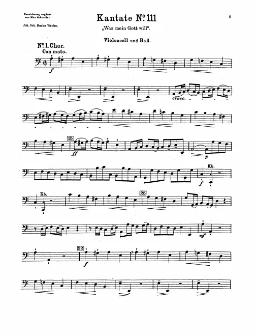 Cellos/Basses