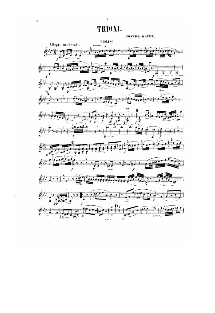 Violin