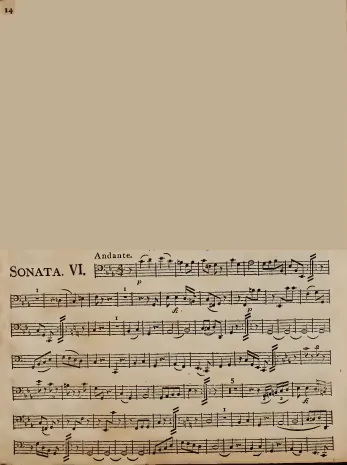 Cello