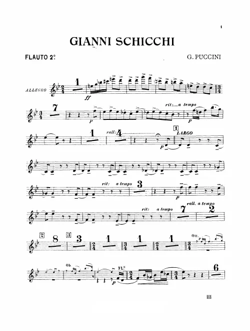 Flute 2