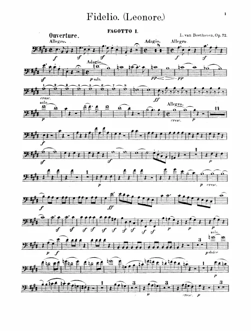 Bassoon 1