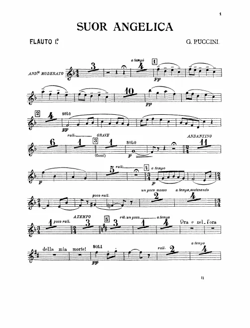 Flute 1