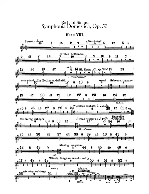 Horn 8 (F)