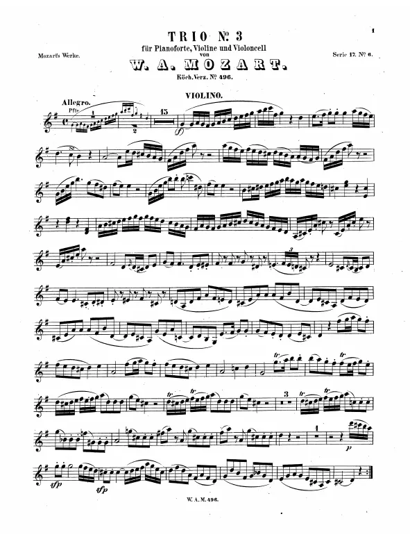 Violin