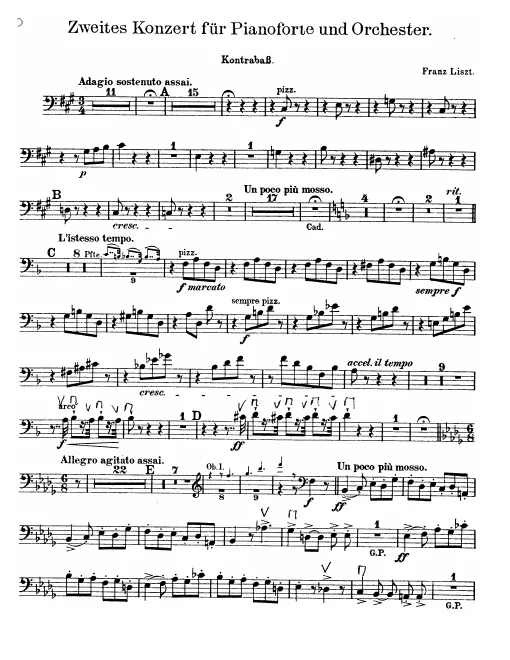 Basses