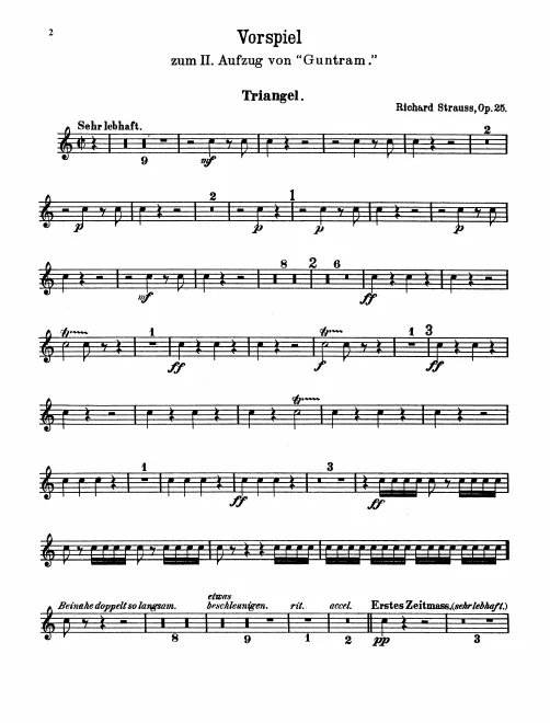 Triangle, Tambourine, Tenor Drum, Bass Drum/Cymbals
