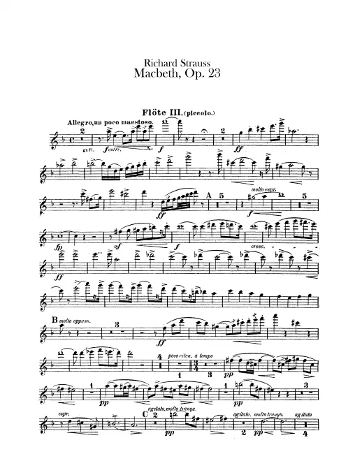 Flute 3/Piccolo