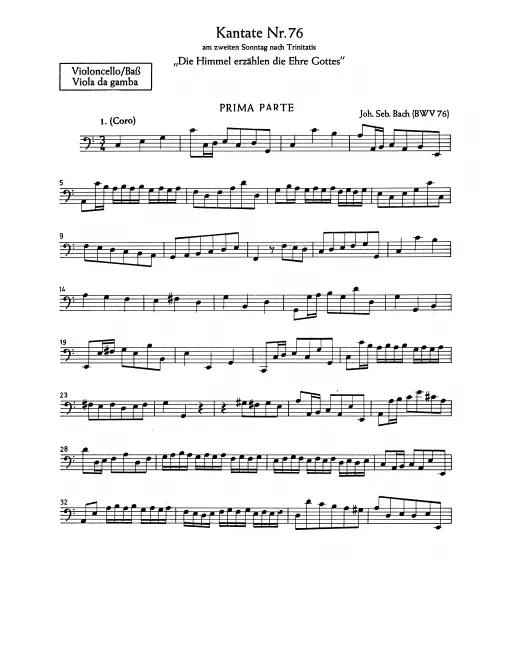 Continuo (Cellos/Basses/Viola da gamba)