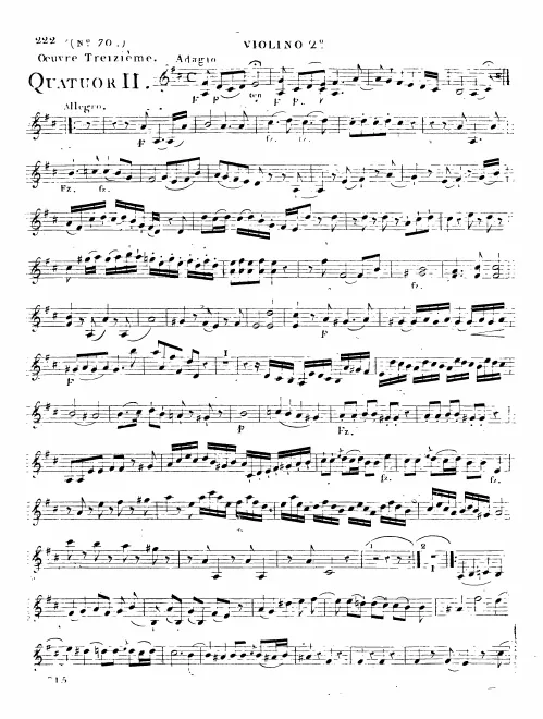 Violin 2