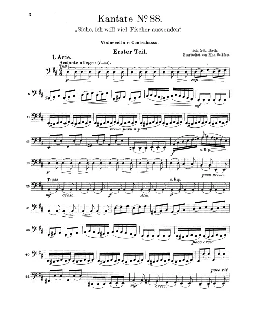Cellos/Basses