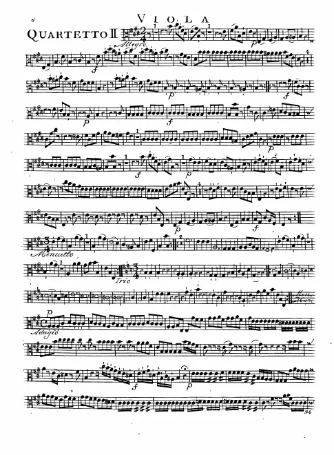 Viola