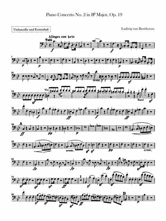 Cellos/Basses