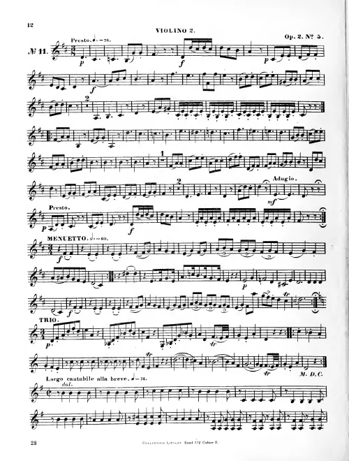 Violin 2