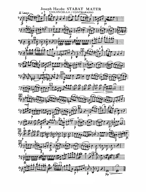 Cellos/Basses