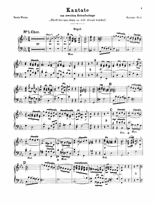 Organ