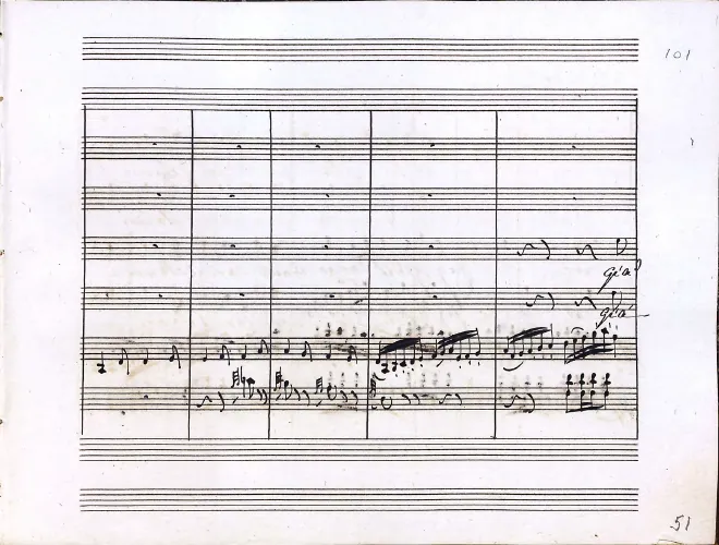 Segment 5
