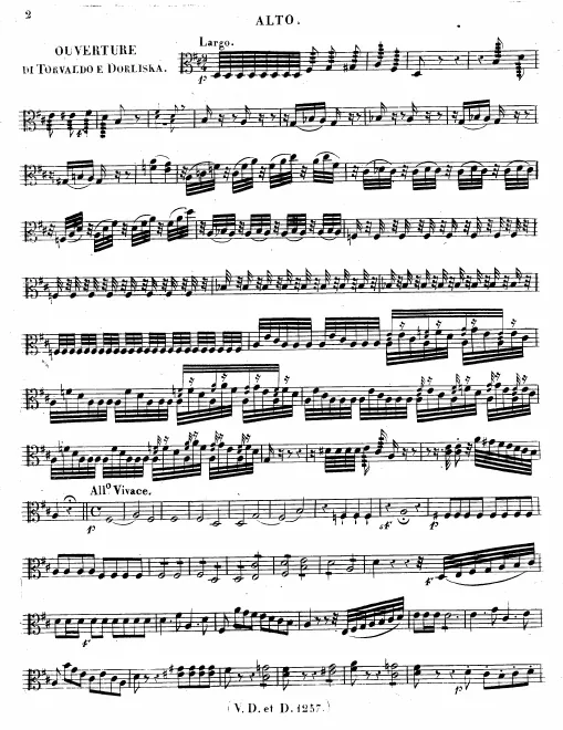 Violas